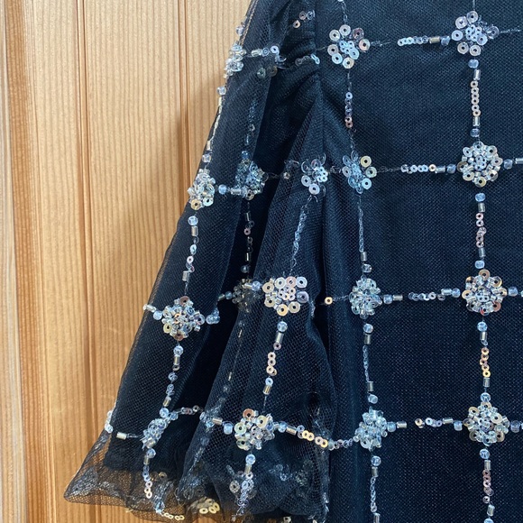 NWT Elegant Silk and Beaded Top. - Picture 5 of 8